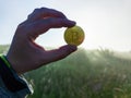 White human hand holding a Bitcoin shiner on a morning grassy meadow background