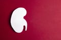 White human kidney symbol on red background with cpase for text. Kidney health concept.