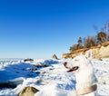 White Husky amid the winter of the Sea Royalty Free Stock Photo