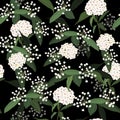 White Hydenyear in the dark garden night pattern seamless flow