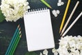 White hydrangea flowers and pencils on a dark background Royalty Free Stock Photo