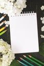 White hydrangea flowers and pencils on a dark background Royalty Free Stock Photo