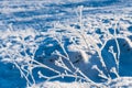 White ice crystals on grass in bright sunlight. Snow crystals close-up on a bright frosty winter day. White sparkling snow surface Royalty Free Stock Photo