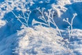 White ice crystals on grass in bright sunlight. Snow crystals close-up on a bright frosty winter day. White sparkling snow surface Royalty Free Stock Photo