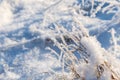 White ice crystals on grass in bright sunlight. Snow crystals close-up on a bright frosty winter day. White sparkling snow surface Royalty Free Stock Photo