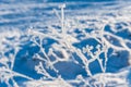 White ice crystals on grass in bright sunlight. Snow crystals close-up on a bright frosty winter day. White sparkling snow surface Royalty Free Stock Photo