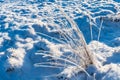 White ice crystals on grass in bright sunlight. Snow crystals close-up on a bright frosty winter day. White sparkling snow surface Royalty Free Stock Photo