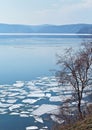 Spring landscape with birch tree and white ice floes on blue water of Baikal Lake