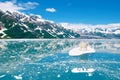 White icebear drifting on a ice floe. Environment, ecosystem and global warming concept Royalty Free Stock Photo