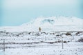 white Icelandic horse on a snowy field in winter against the backdrop of mountains