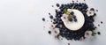 White Icing Cupcake with Blueberries and White Flowers on a White Background