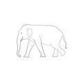 White image outline elephant Asia walking, graphics design vector Illustration