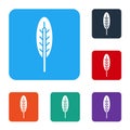 White Indian feather icon isolated on white background. Native american ethnic symbol feather. Set icons in color square Royalty Free Stock Photo