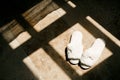 White indoor fluffy women`s slippers in the room in the sun.