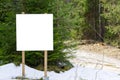 white information poster or blank advert billboard placeholder in forest. white empty Bulletin board in winter pine Royalty Free Stock Photo
