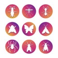 White insect silhouettes. Popular insect icons set Royalty Free Stock Photo