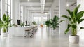 White interior design of modern office, space for work with tables and green plants. Concept of business, background Royalty Free Stock Photo