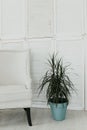 White interior of the Scandinavian-style living room with grey armchair, pillow and green plants Royalty Free Stock Photo