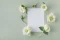 White invitation card mockup from paper blank decorated with flowers in minimal elegant style. Beautiful floral template top view