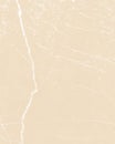 Delicate Abstract Light Beige Marble Vector Layout.