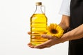 White isolated background, cooking hands with a sunflower oil bottle