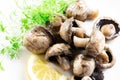 On a white isolated background, a plate dish with marinated whole champignon mushrooms, fresh lemon and dill Royalty Free Stock Photo