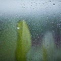 water drops on the glass wet window glass with splashes and drops of water Royalty Free Stock Photo