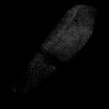 white isolated index fingerprints sign icon Digital security authentication concept on black