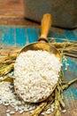 White italian arborio rice used for making risotto dish Royalty Free Stock Photo