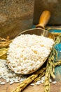 White italian arborio rice used for making risotto dish Royalty Free Stock Photo