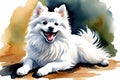 white Japanese Spitz dog on Isolated