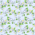 White jasmine blooming branches with leaves, hand painted watercolor illustration, seamless pattern design on blue background