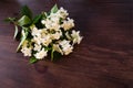 White Jasmine flowers with green leaves on dark brown wooden table. Flat lay, top view, copy space for text. Floral wallpaper Royalty Free Stock Photo