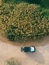 Drone shot of the white jeep on a dirt desert road