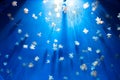 White jellyfish in giant aquarium