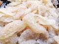 Close up of the white jellyfish head. White jellyfish heads displayed and sold in supermarkets.