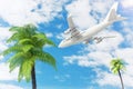 White Jet Passenger`s Airplane Flying over Tropical Palm Trees o Royalty Free Stock Photo