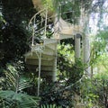 White jungle stairs