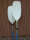 White Kayak Paddles