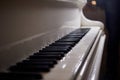 The white keys of the piano