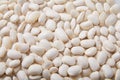 White kidney bean seeds background. Cannellini beans texture background. Royalty Free Stock Photo