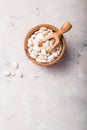 White kidney beans in bowl. top view Royalty Free Stock Photo