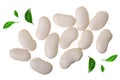 White kidney beans decorated with green leaves isolated on white background close up. Top view