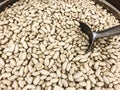 White kidney beans with metallic scoop close up. Royalty Free Stock Photo