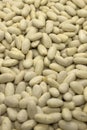 White Kidney Beans