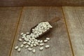 White kidney beans in wooden scoop isolated on wooden background close up. Top view. Royalty Free Stock Photo