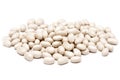 White Kidney Shaped Beans Royalty Free Stock Photo