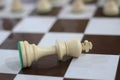 White king alone in end of Game. Thinking And Make You Smarter. Stock photo