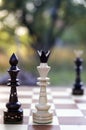 White King and black Queen chess pieces. Royalty Free Stock Photo