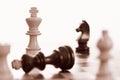 White king wins chess game Royalty Free Stock Photo